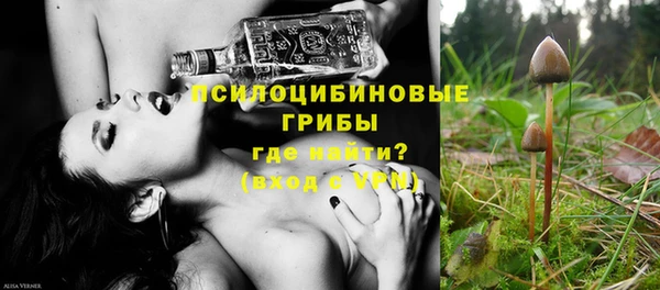 амф Алзамай