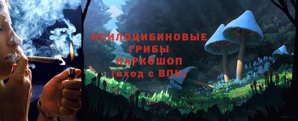 гидропоника Абаза