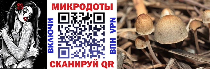 Галлюциногенные грибы Magic Shrooms  Избербаш 