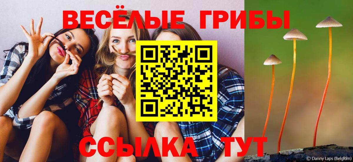 где купить наркоту  Вход с VPN  Избербаш  Псилоцибиновые грибы Cubensis 